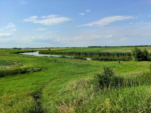 Skenderevo surroundings